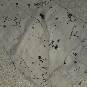 Madewell Wool Constellation Scarf